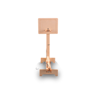 Hoop Shooter