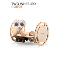 Two Wheeled Robot